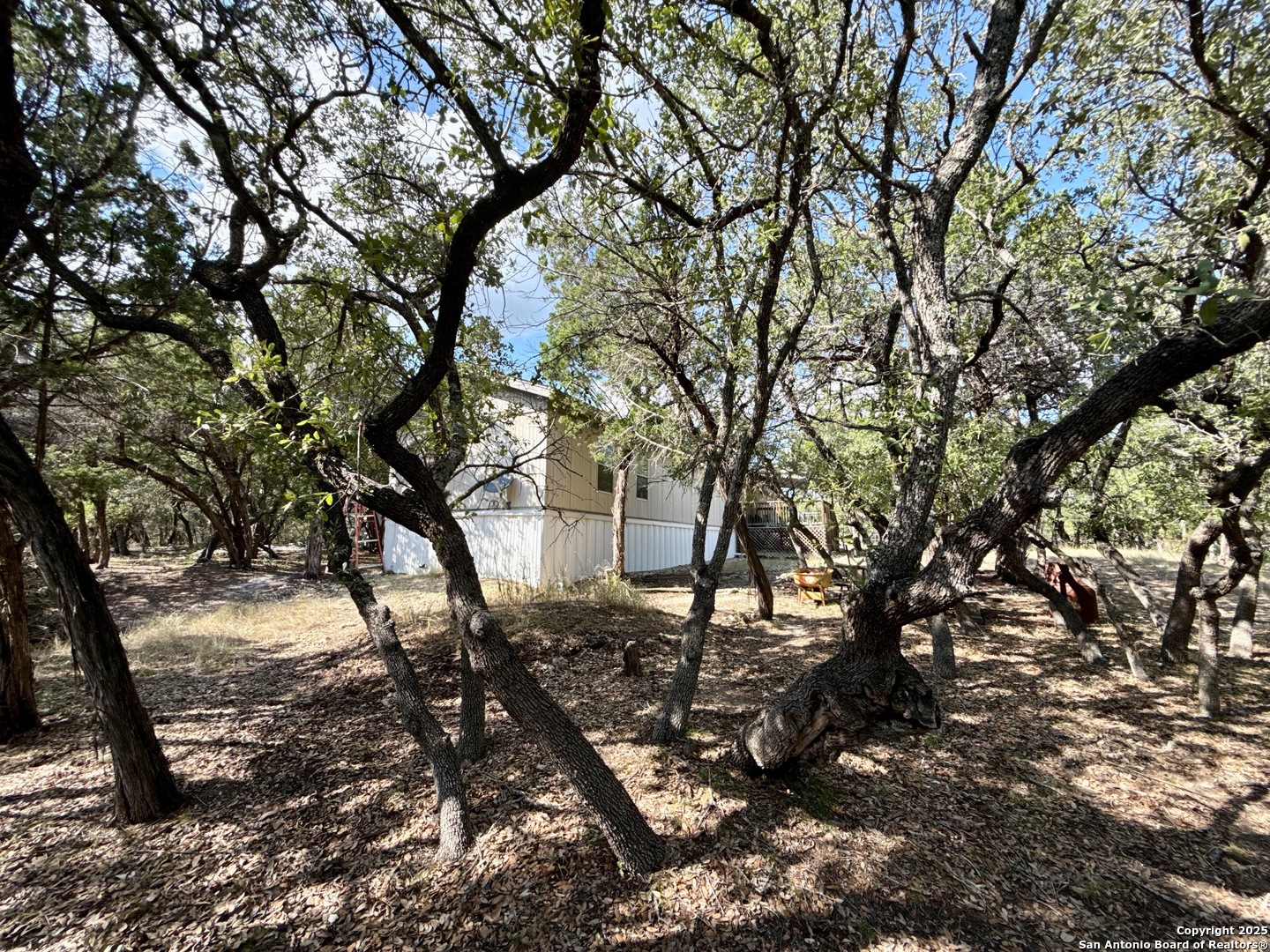 300 Pecos Road Bandera, TX 78003 - Photo 42 of 44 a view of a yard with a tree