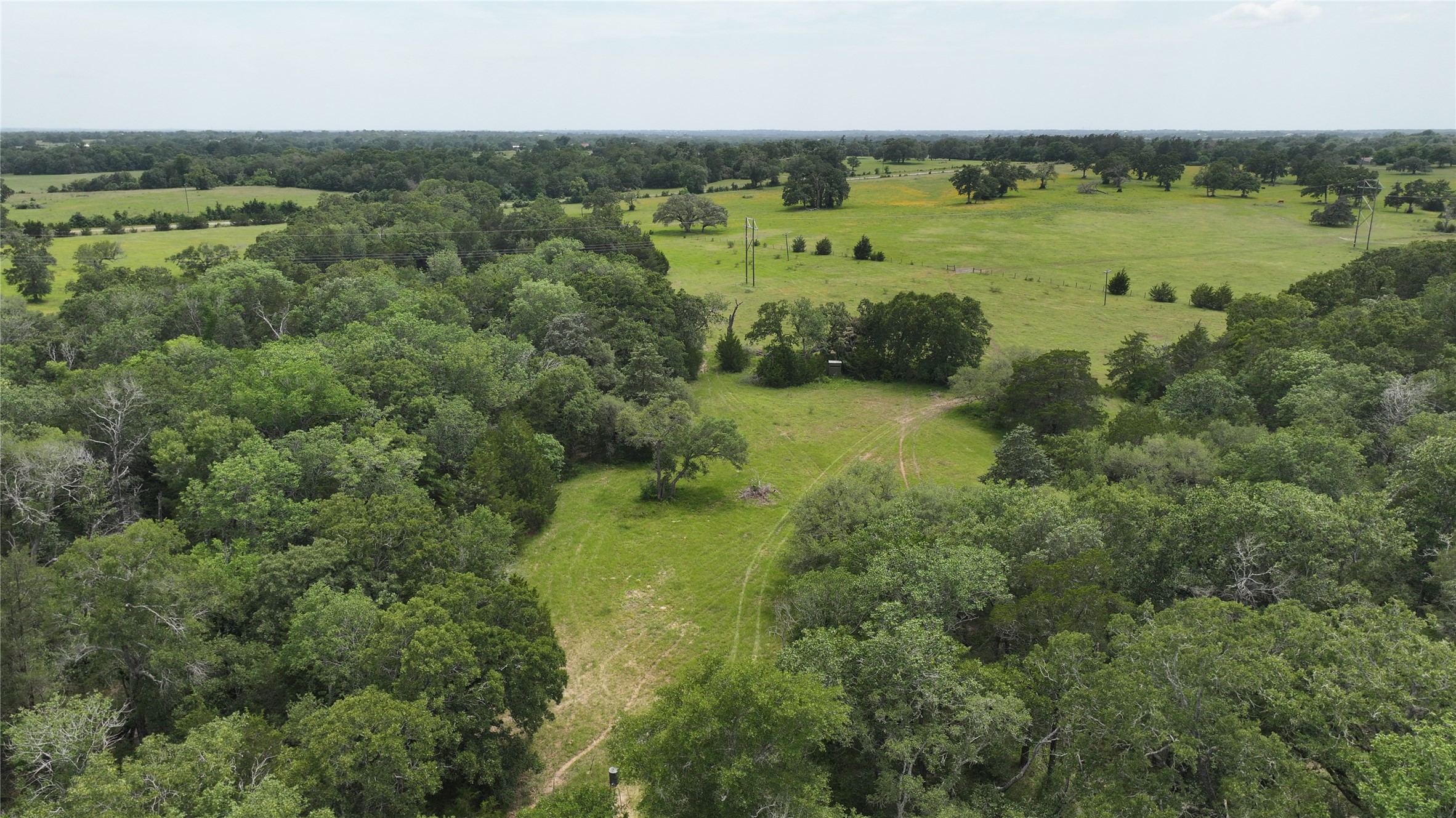 Tbd Greenvine Road Burton, TX 77835 - Photo 5 of 14