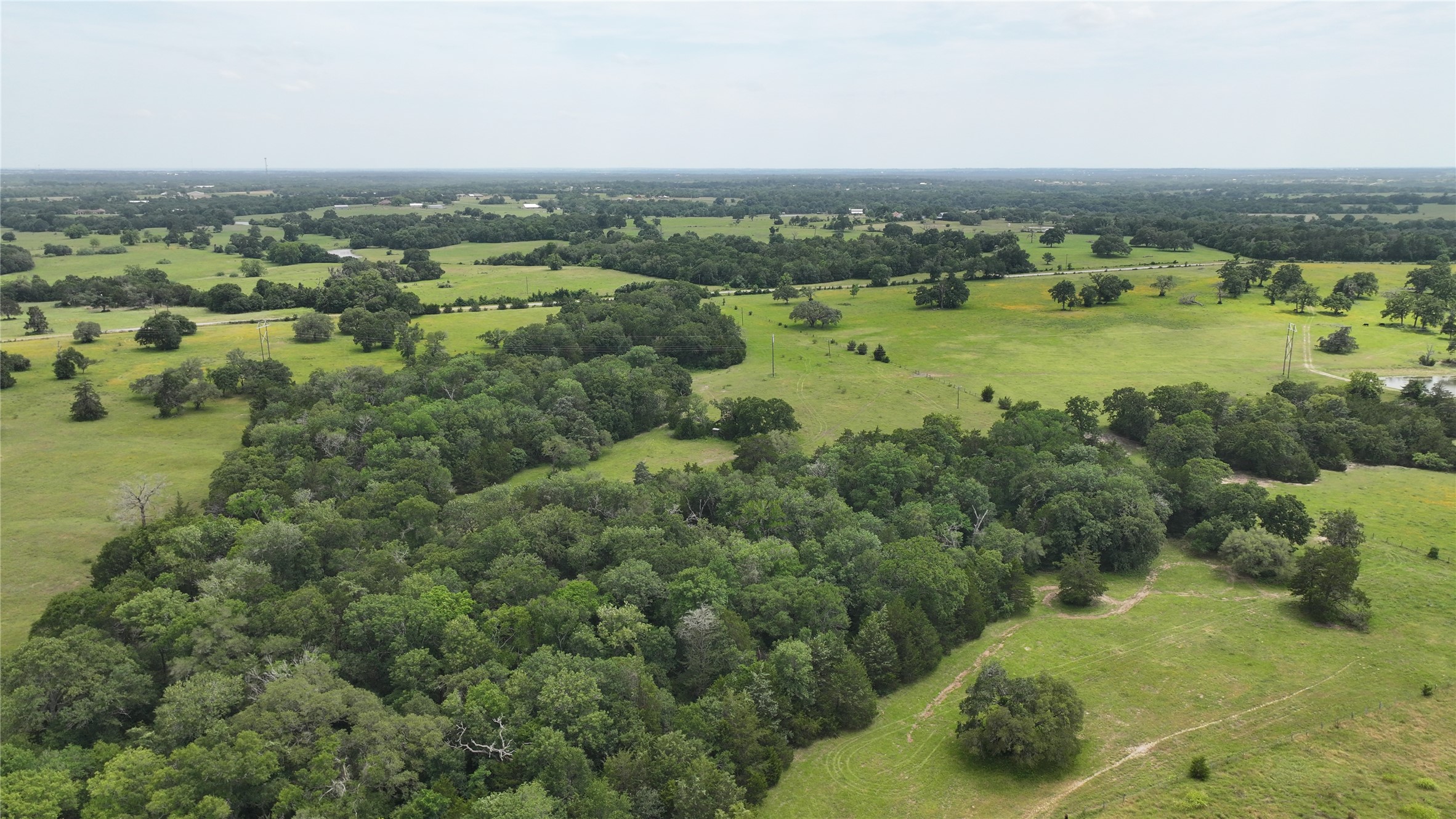 Tbd Greenvine Road Burton, TX 77835 - Photo 7 of 14