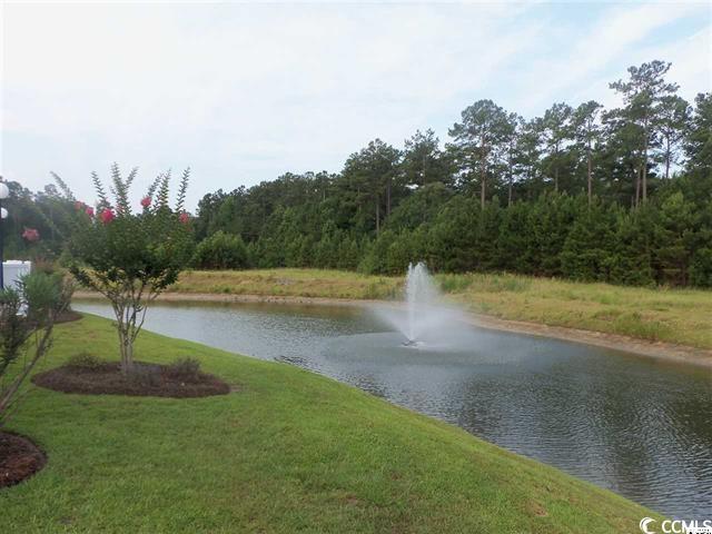 1143 Freeboard Street, Unit 103 Murrells Inlet, SC 29576 - Photo 29 of 29 Gallery Image 29