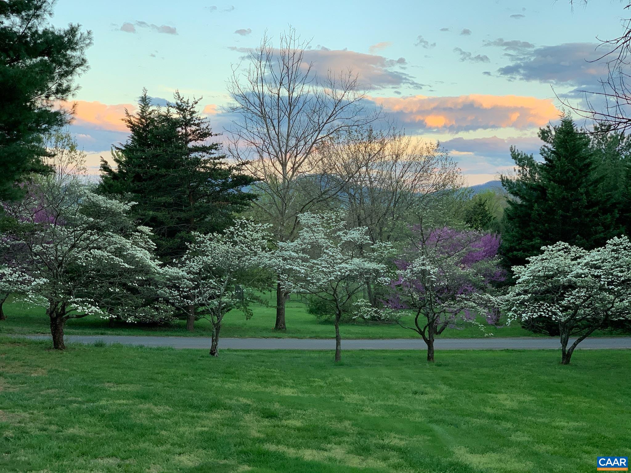 504 Newtown Road Greenwood, VA 22943 - Photo 34 of 34 a green field with lots of trees in it