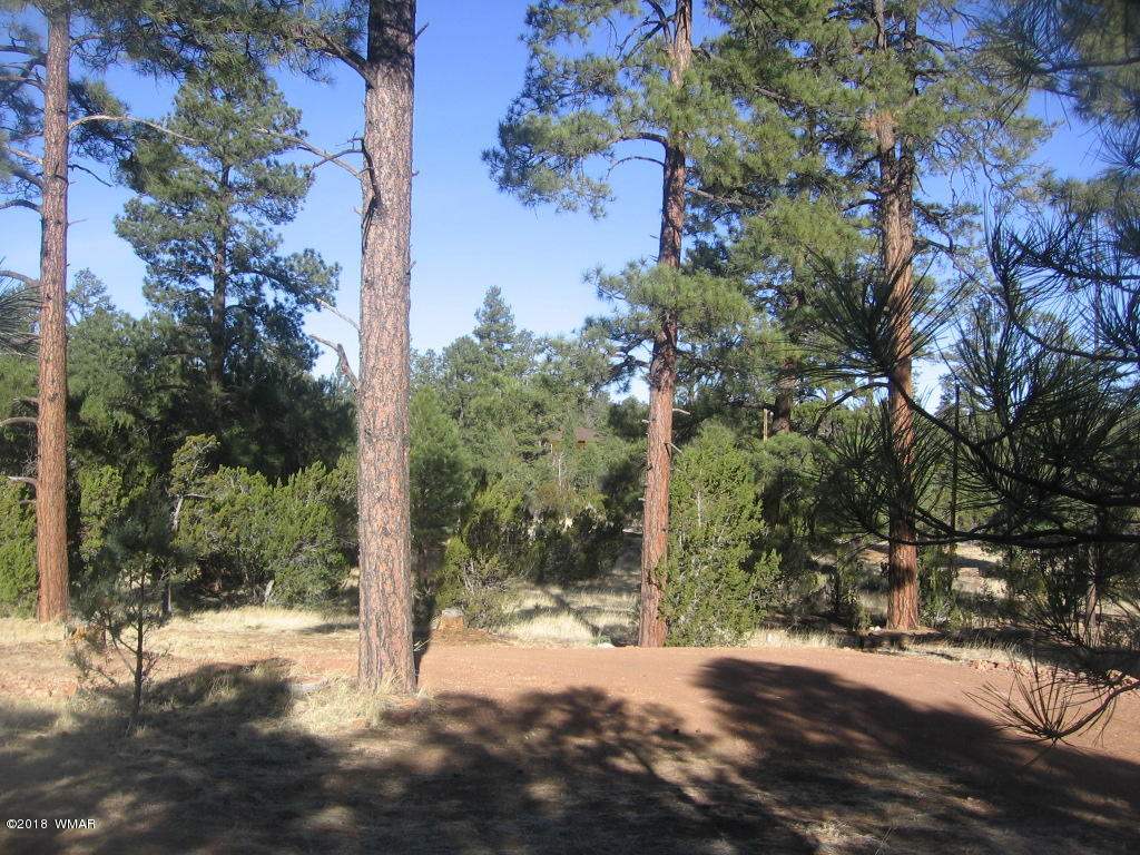 3042 Aspen Road Overgaard, AZ 85933 - Photo 11 of 22