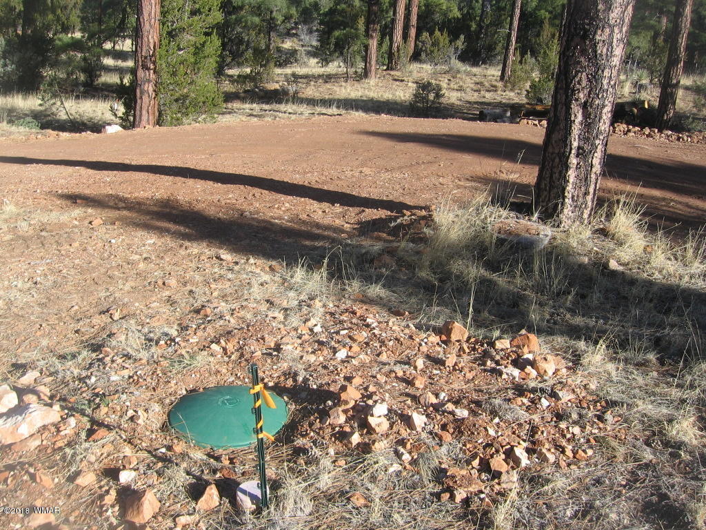 3042 Aspen Road Overgaard, AZ 85933 - Photo 12 of 22