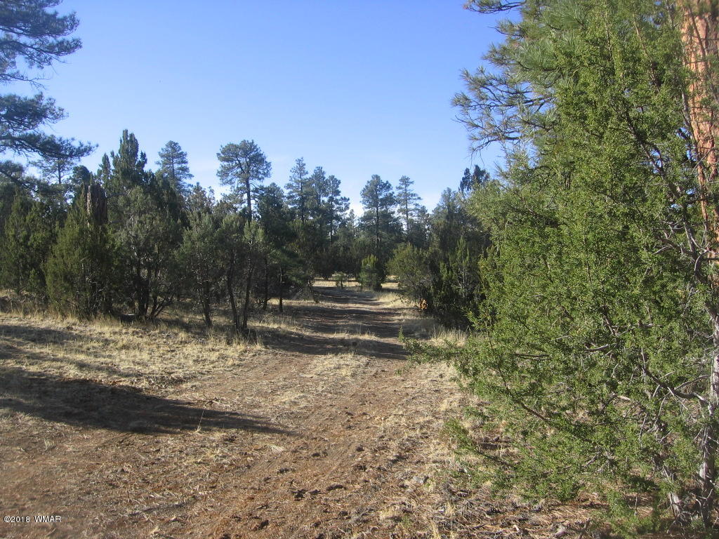 3042 Aspen Road Overgaard, AZ 85933 - Photo 13 of 22
