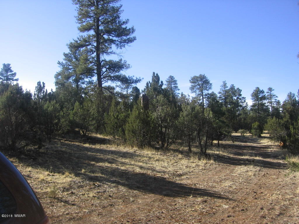 3042 Aspen Road Overgaard, AZ 85933 - Photo 14 of 22