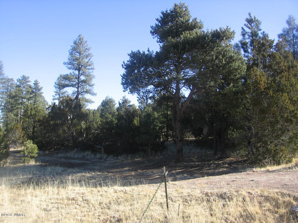 3042 Aspen Road Overgaard, AZ 85933 - Photo 16 of 22