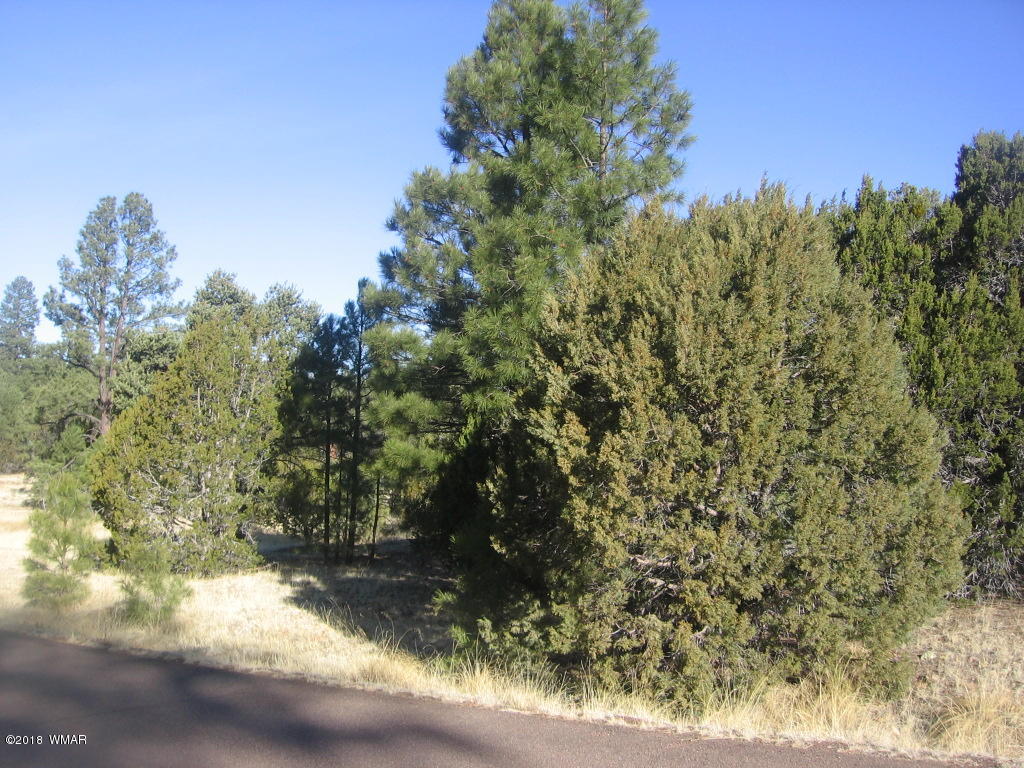 3042 Aspen Road Overgaard, AZ 85933 - Photo 18 of 22