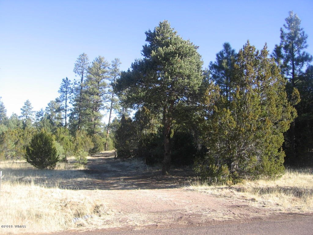 3042 Aspen Road Overgaard, AZ 85933 - Photo 20 of 22