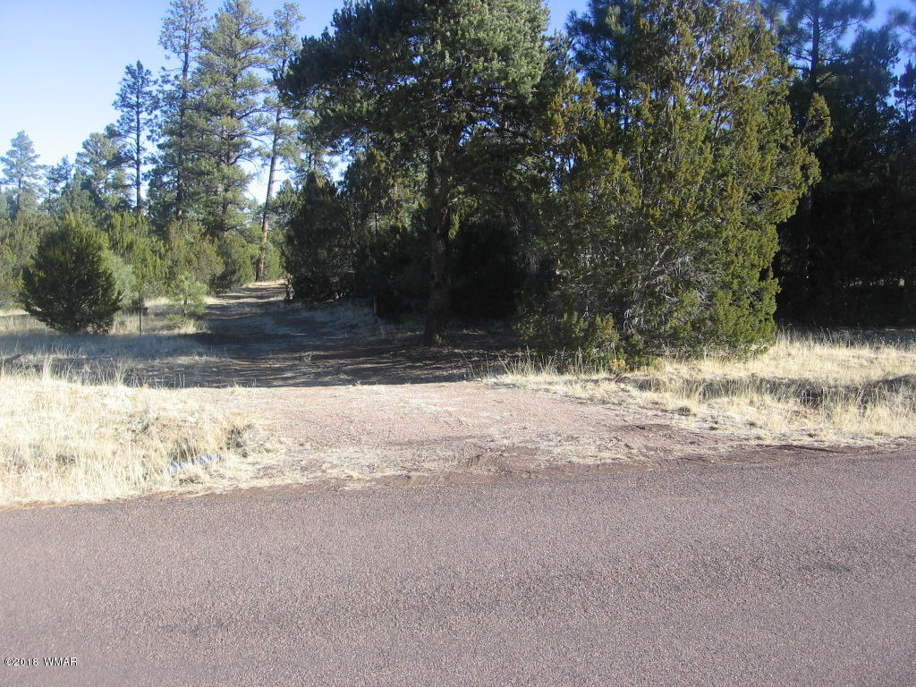 3042 Aspen Road Overgaard, AZ 85933 - Photo 21 of 22