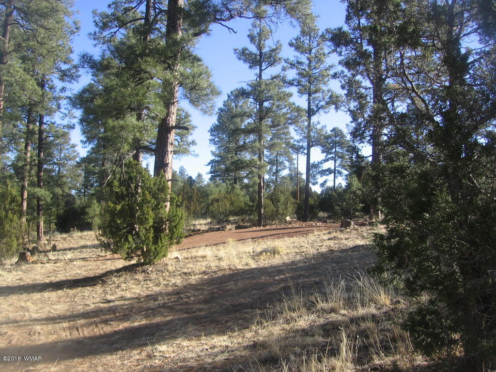 3042 Aspen Road Overgaard, AZ 85933 - Photo 3 of 22