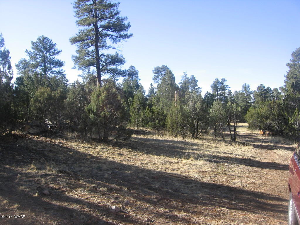 3042 Aspen Road Overgaard, AZ 85933 - Photo 4 of 22