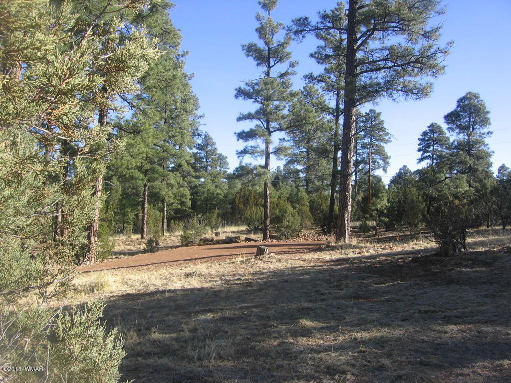 3042 Aspen Road Overgaard, AZ 85933 - Photo 5 of 22