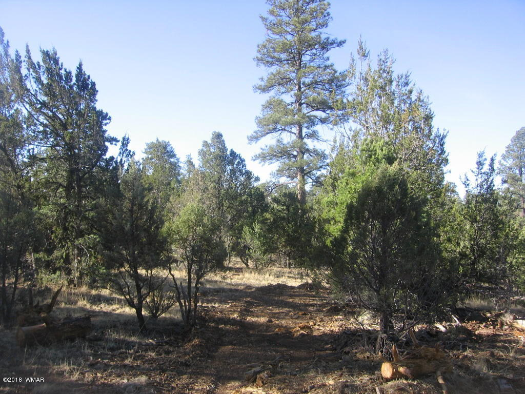 3042 Aspen Road Overgaard, AZ 85933 - Photo 8 of 22