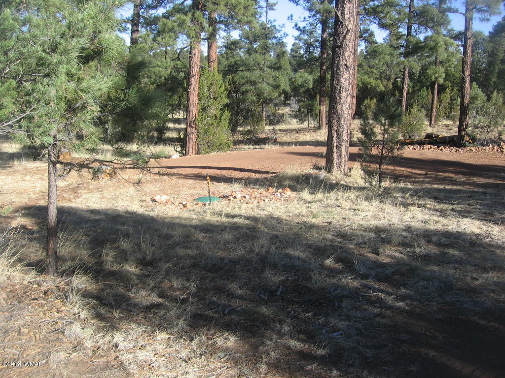 3042 Aspen Road Overgaard, AZ 85933 - Photo 9 of 22