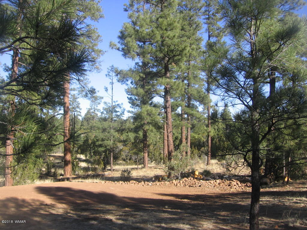 3042 Aspen Road Overgaard, AZ 85933 - Photo 10 of 22