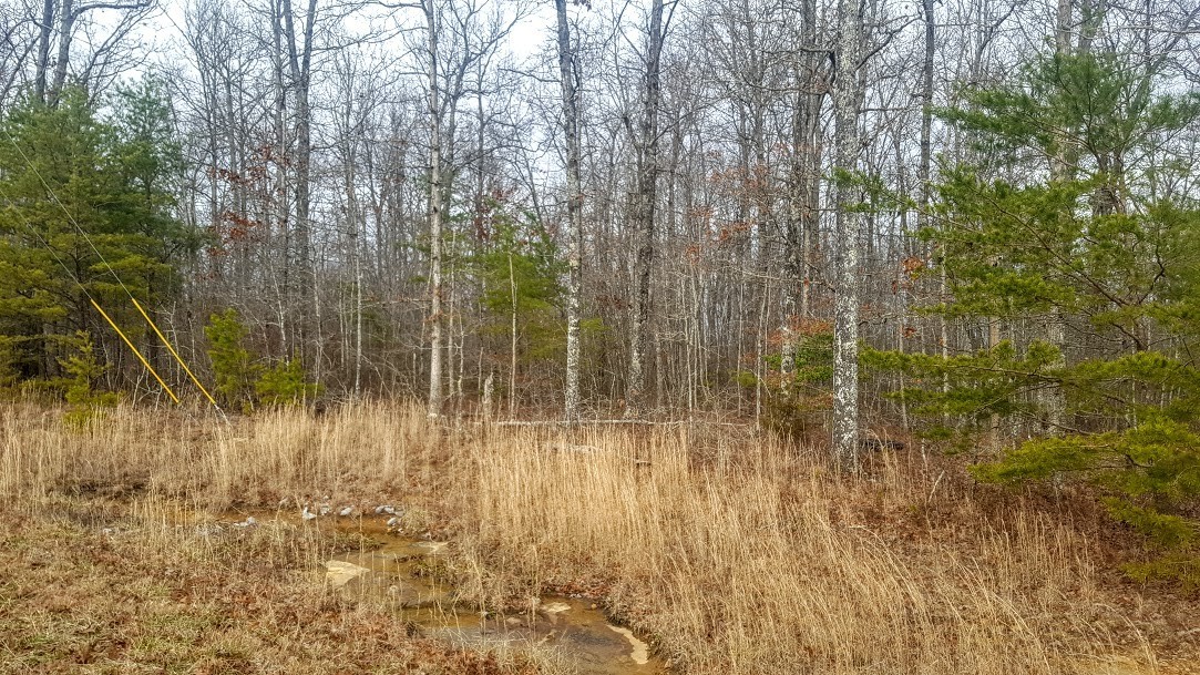 0 Hunters Trail Way Altamont, TN 37301 - Photo 1 of 16 Lot 77 pictures may include neighboring lot 78 pictures and lot 79