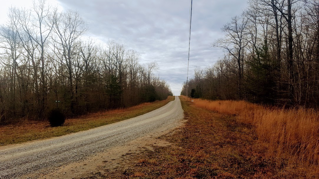 0 Hunters Trail Way Altamont, TN 37301 - Photo 3 of 16 Road to the left of the property