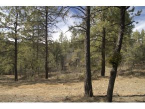 1665 High Valley Ranch Road Prescott, AZ 86303 - Photo 4 of 9 Additional Photo