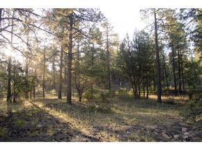 1665 High Valley Ranch Road Prescott, AZ 86303 - Photo 5 of 9 Additional Photo