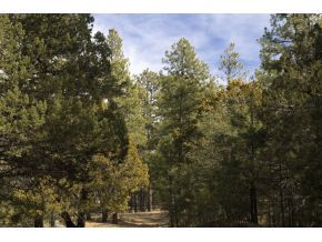 1665 High Valley Ranch Road Prescott, AZ 86303 - Photo 6 of 9 Additional Photo