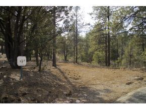 1665 High Valley Ranch Road Prescott, AZ 86303 - Photo 7 of 9 Additional Photo