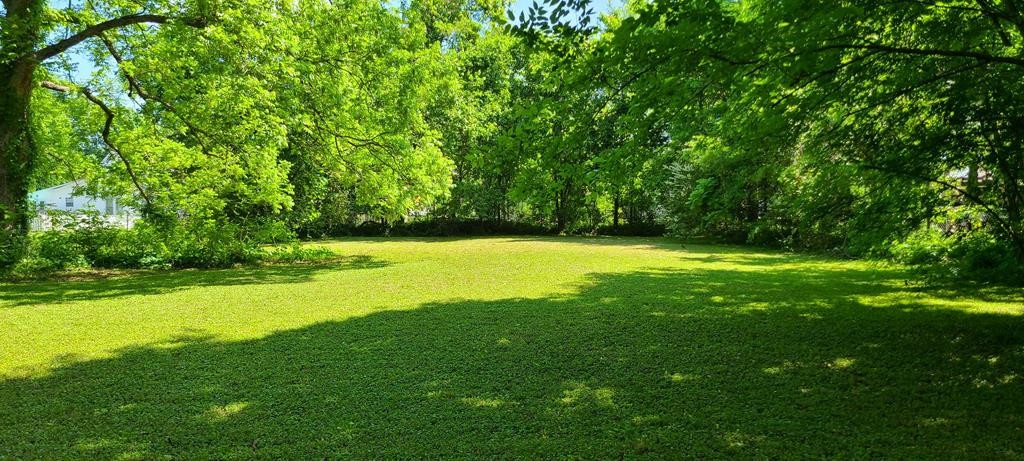 408 West Rhea Avenue Spring City, TN 37381 - Photo 14 of 15