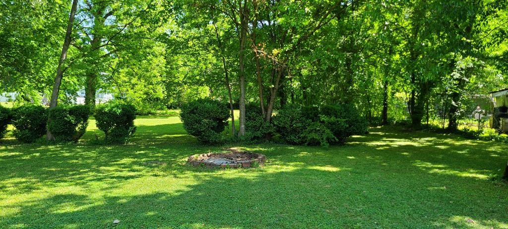 408 West Rhea Avenue Spring City, TN 37381 - Photo 15 of 15