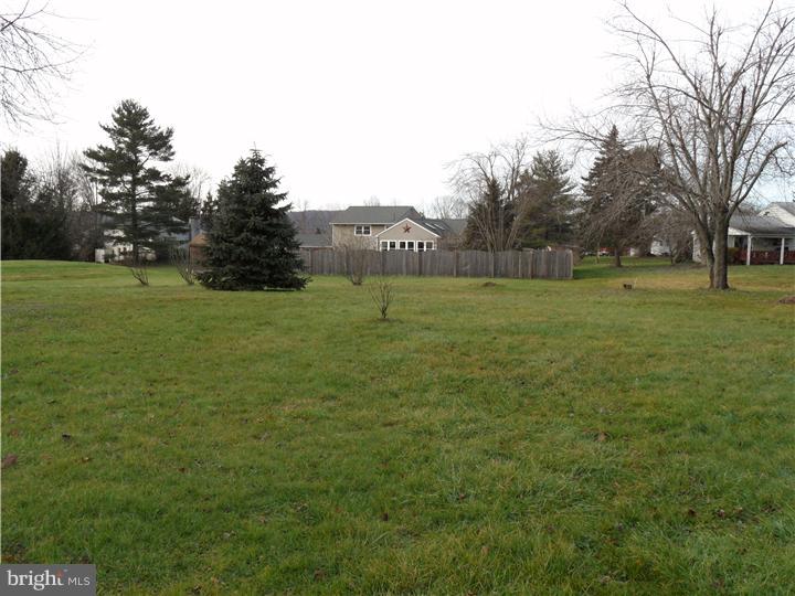 4608 Durham Road Kintnersville, PA 18930 - Photo 18 of 19 Back Yard