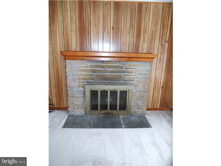 4608 Durham Road Kintnersville, PA 18930 - Photo 6 of 19 Fireplace