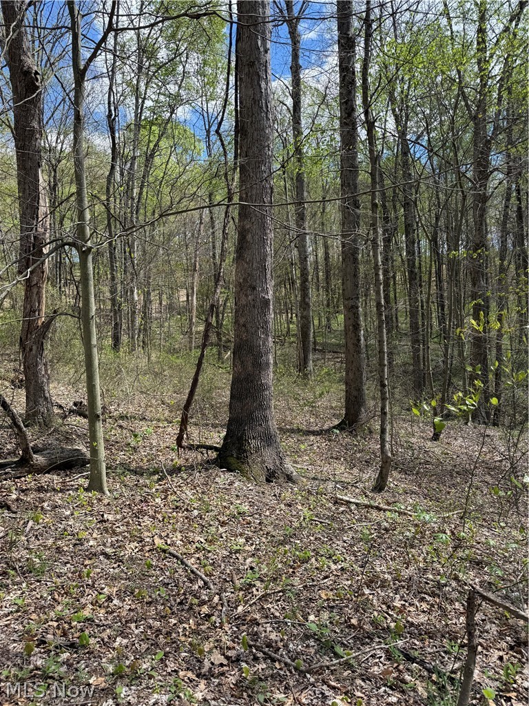Plainview Road Woodsfield, OH 43793 - Photo 4 of 20
