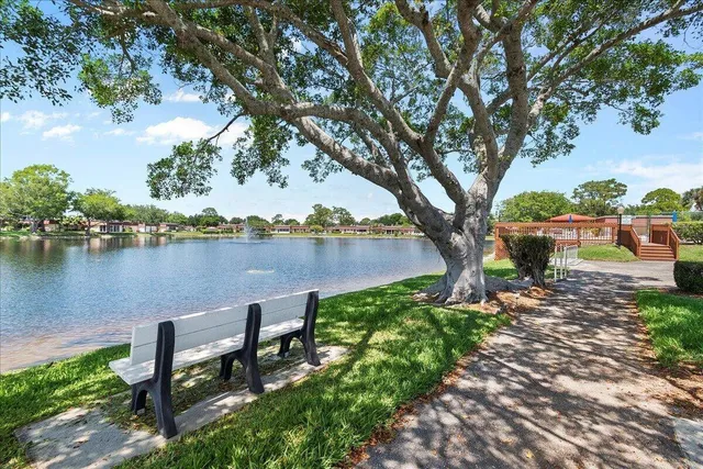 a view of a lake with a bench and a large tree