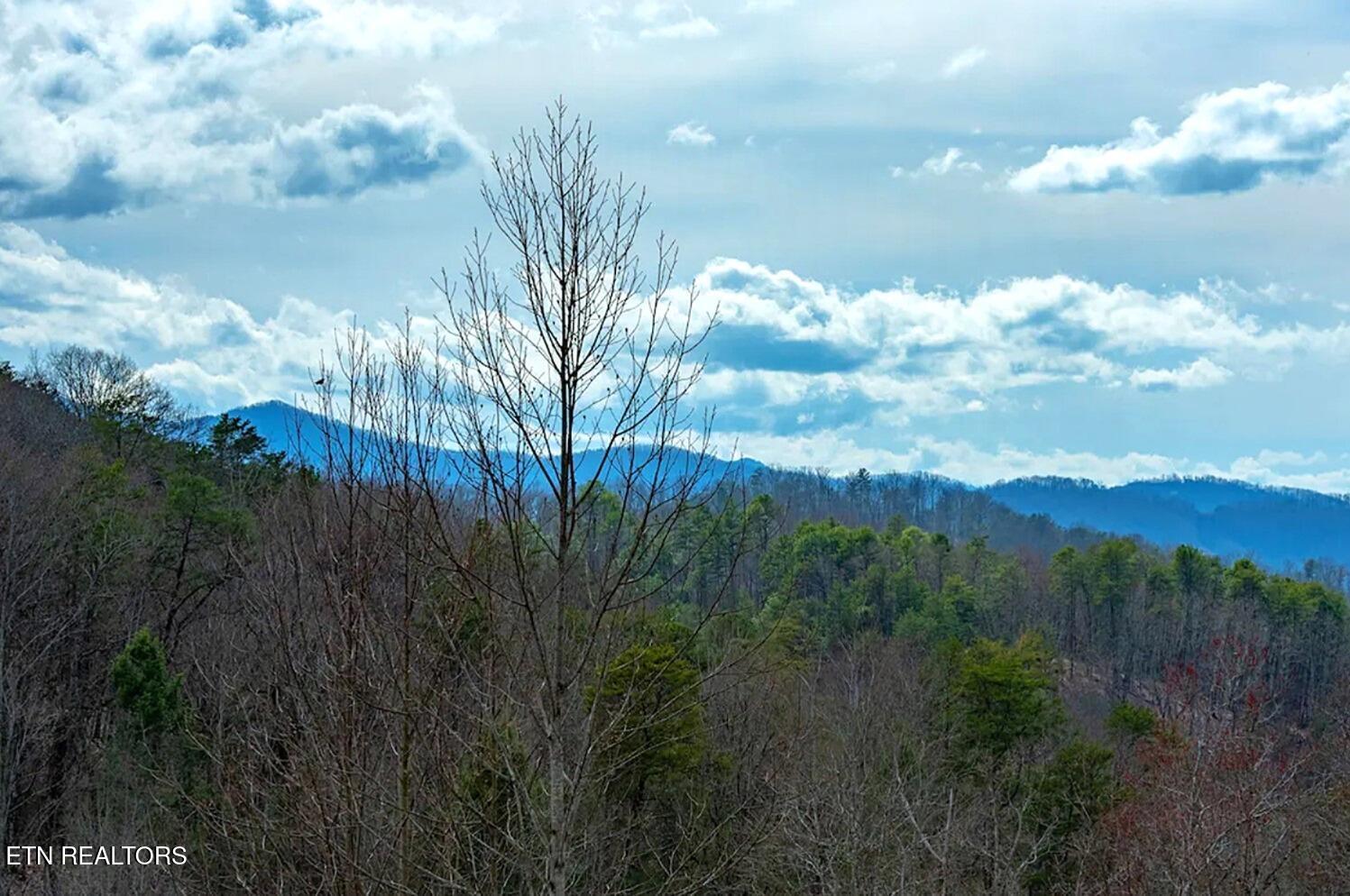 1519 Boo Boos Way Sevierville, TN 37862 - Photo 2 of 31 Screenshot 2022-08-13 165525
