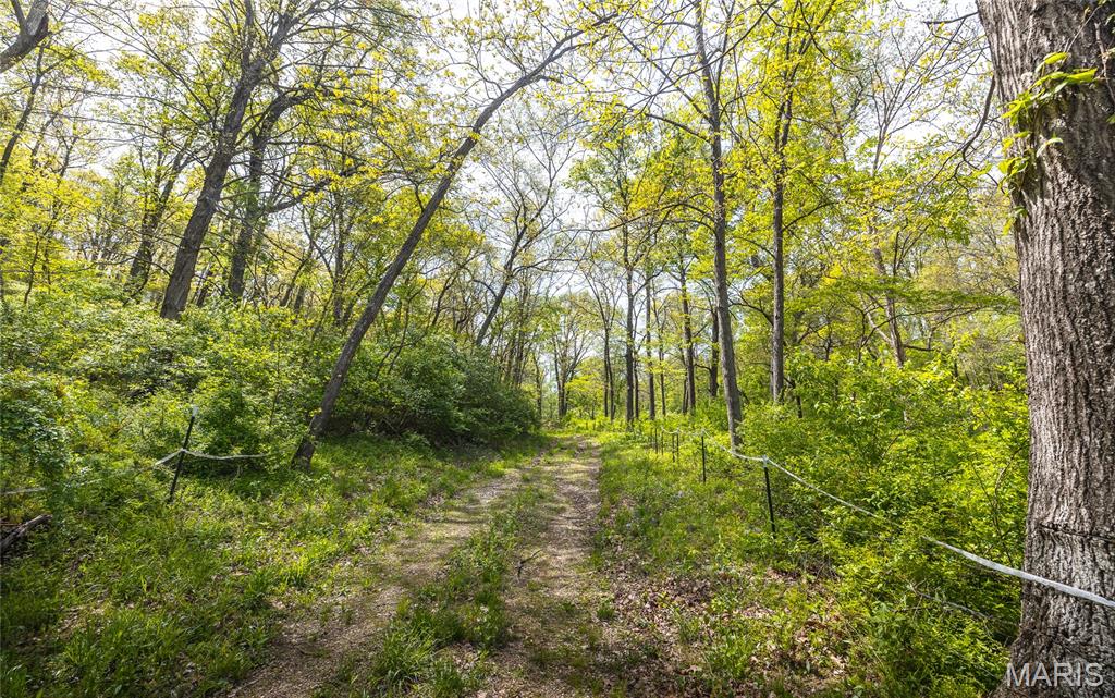 17816 Powerline Road Grafton, IL 62037 - Photo 27 of 50