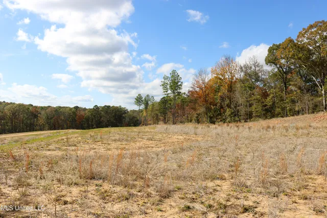$40,900 | 3 Hugh White State Park Road, Grenada, MS 38901
