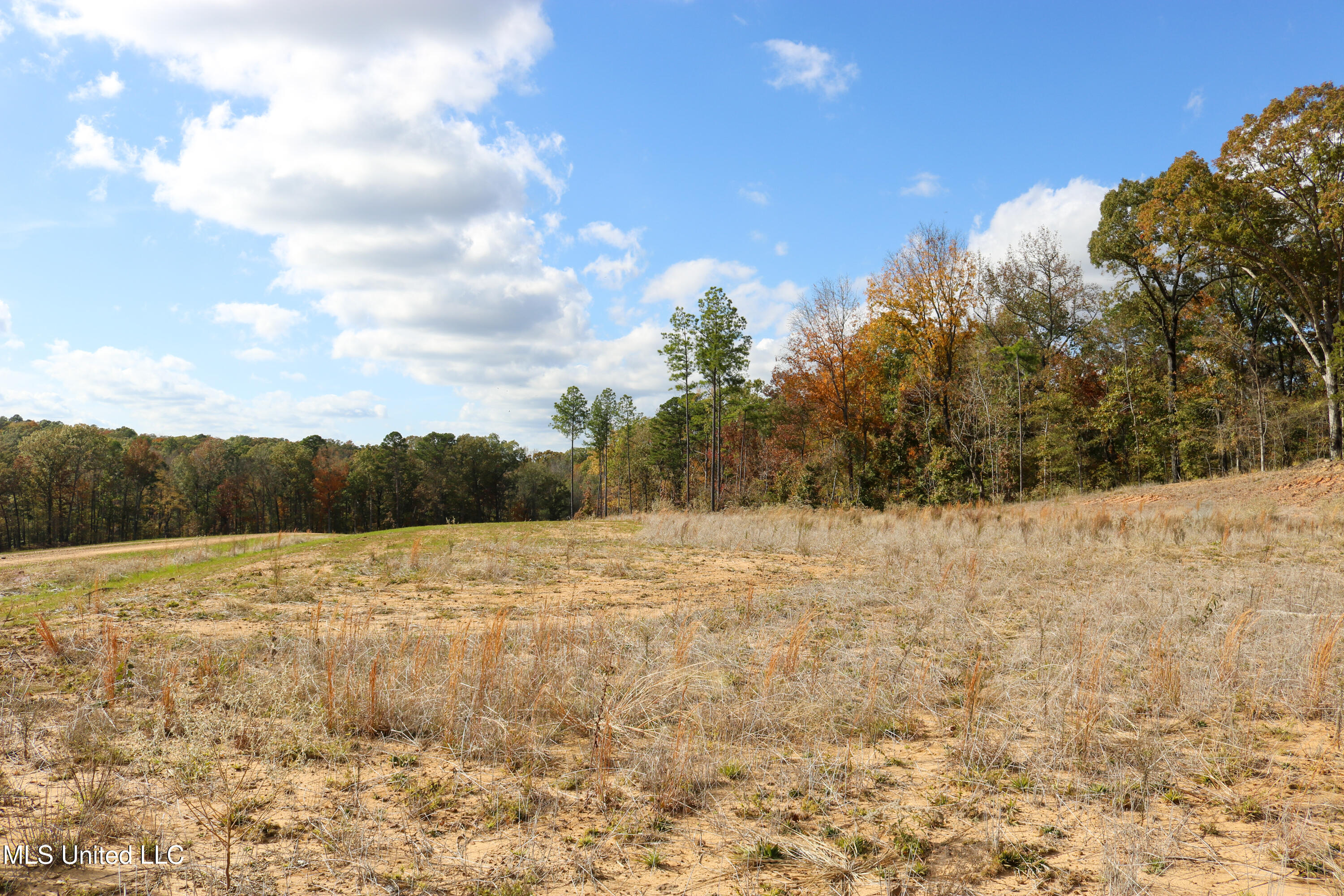 3 Hugh White State Park Road Grenada, MS 38901 - Photo 3 of 12 Tract 3 Hugh White State Park Road-3