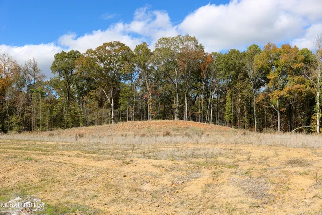 $40,900 | 3 Hugh White State Park Road, Grenada, MS 38901