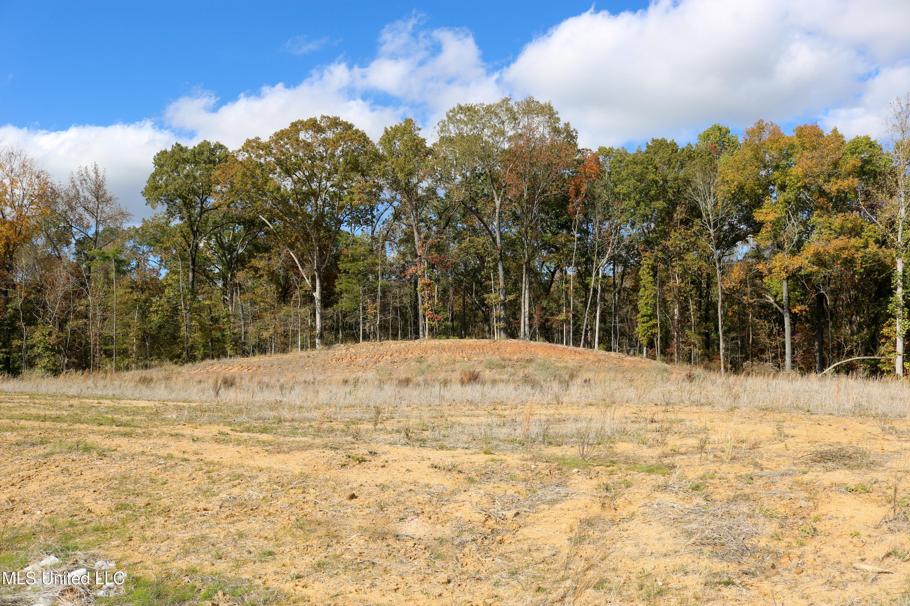 3 Hugh White State Park Road Grenada, MS 38901 - Photo 4 of 12 Tract 3 Hugh White State Park Road-4