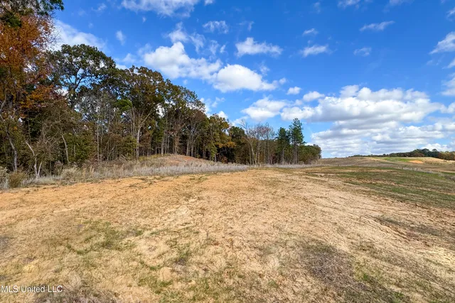 $40,900 | 3 Hugh White State Park Road, Grenada, MS 38901