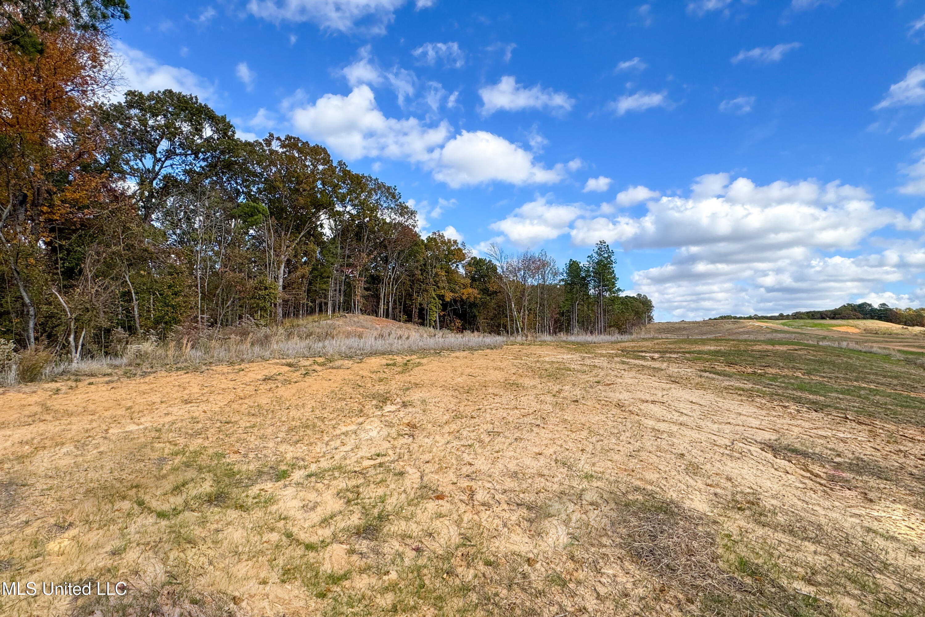 3 Hugh White State Park Road Grenada, MS 38901 - Photo 5 of 12 Tract 3 Hugh White State Park Road-5