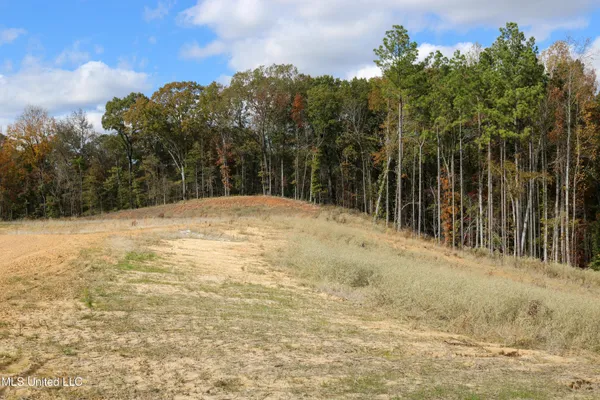 $40,900 | 3 Hugh White State Park Road, Grenada, MS 38901