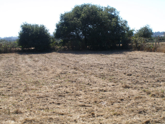 675 Amesti Road Watsonville, CA 95076 - Photo 18 of 19 Gallery Image 18