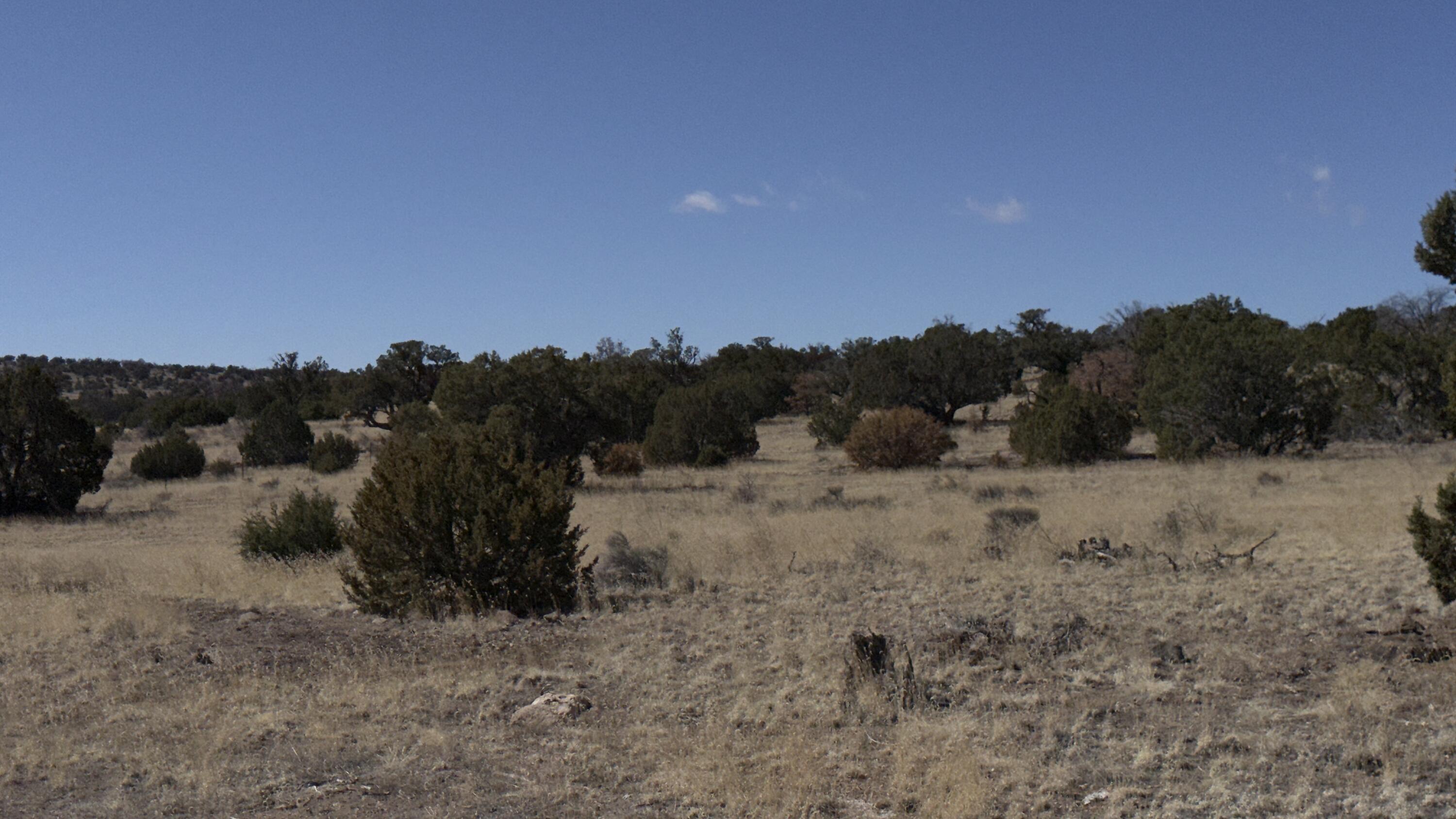 21 Wildwood Loop Datil, NM 87821 - Photo 35 of 45 Gallery Image 35