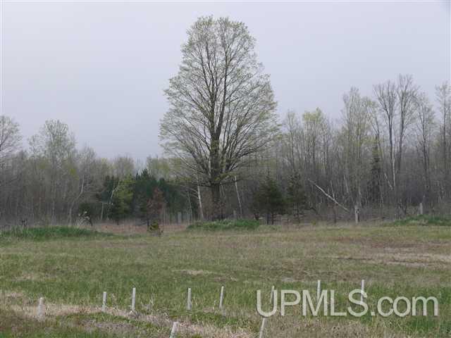 140 Co Road Negaunee, MI 49866 - Photo 11 of 14