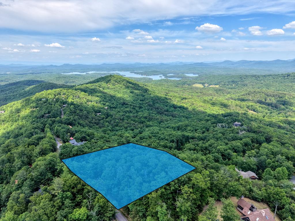 Lot2 Deer Crest Overlook Blue Ridge, GA 30513 - Photo 10 of 12 Aerial view