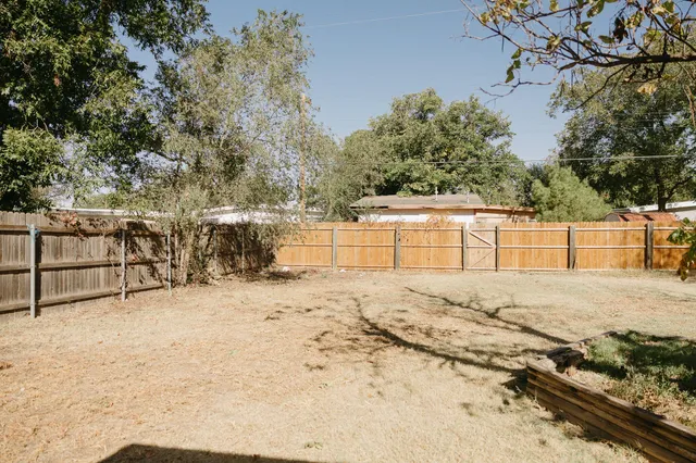 a view of a yard with plants and trees