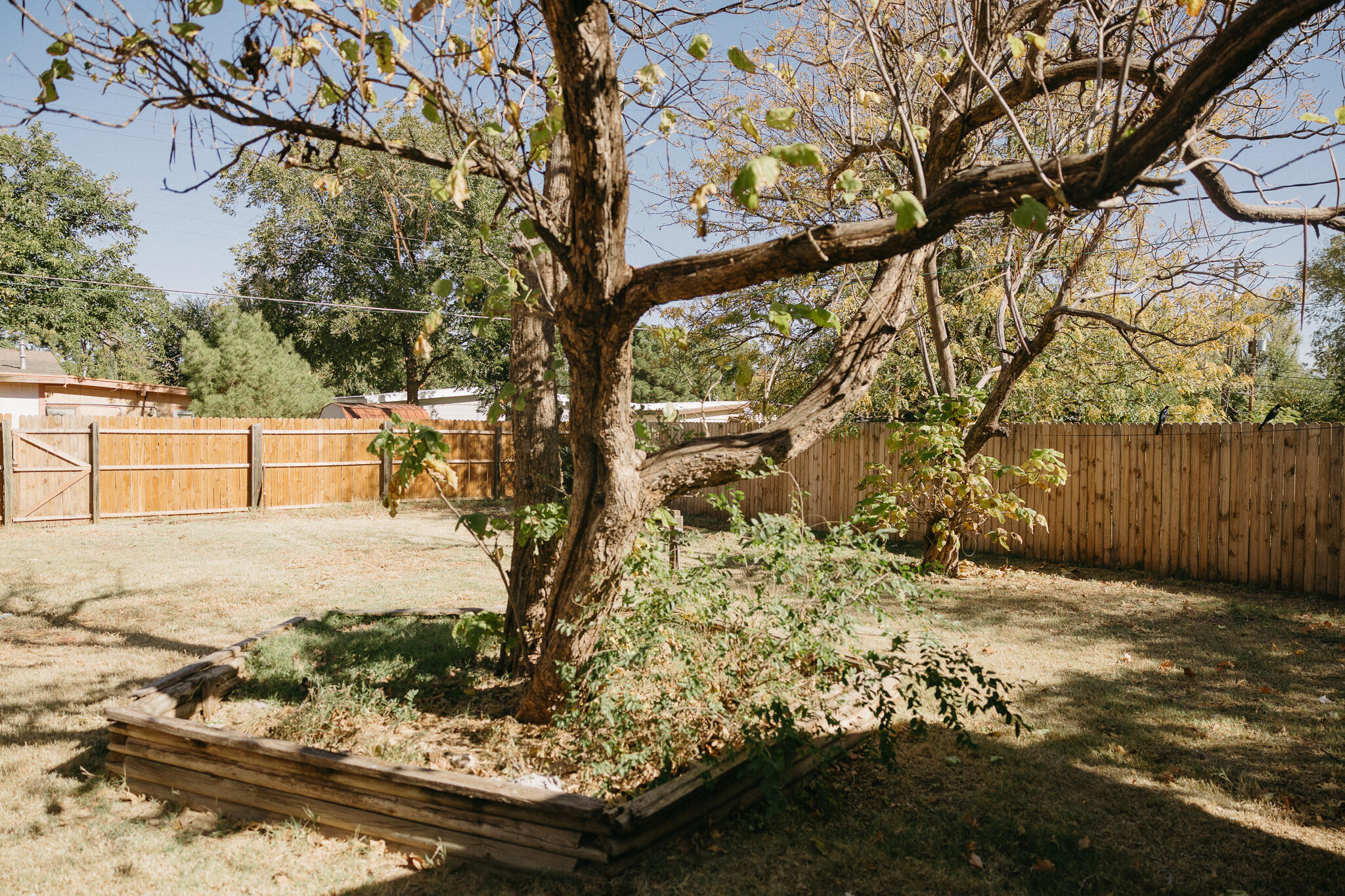 4412 45th Street Lubbock, TX 79414 - Photo 26 of 28 IMG_4404