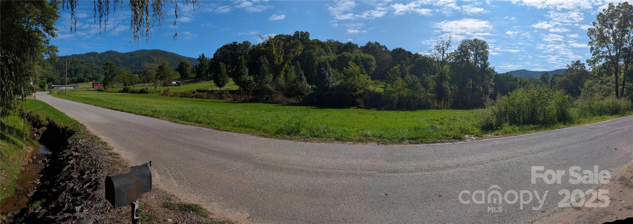 603 Willis Cove Road Canton, NC 28716 - Photo 20 of 20 Gallery Image 20