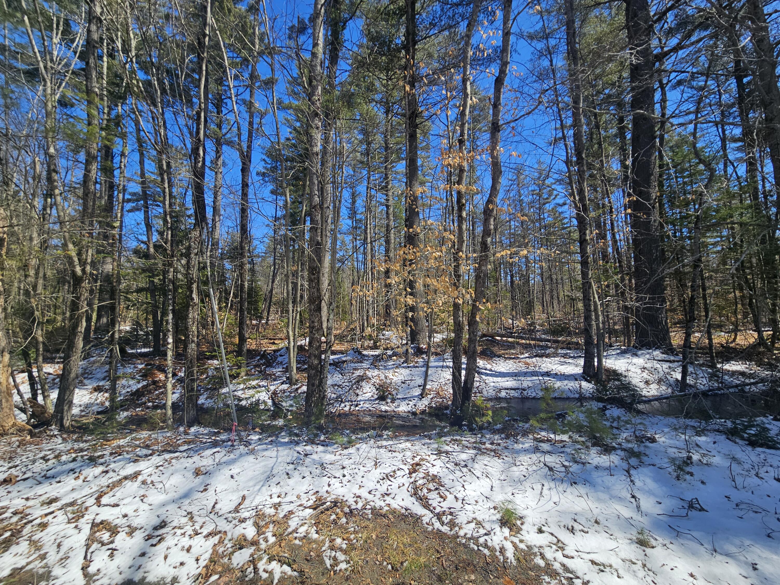 Lot #33 Cape Cod Hill Road New Sharon, ME 04955 - Photo 8 of 20 20250409_124617