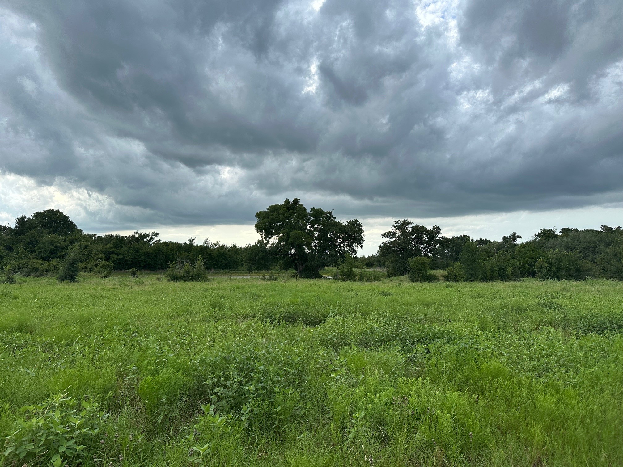 8616 Schuster Road Ledbetter, TX 78946 - Photo 2 of 10