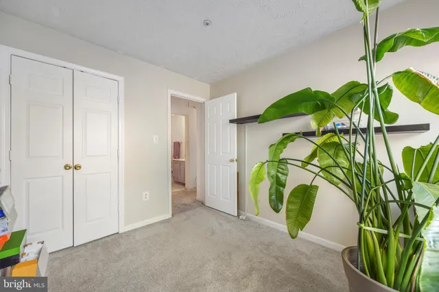 a view of a plant in a room